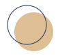 null null